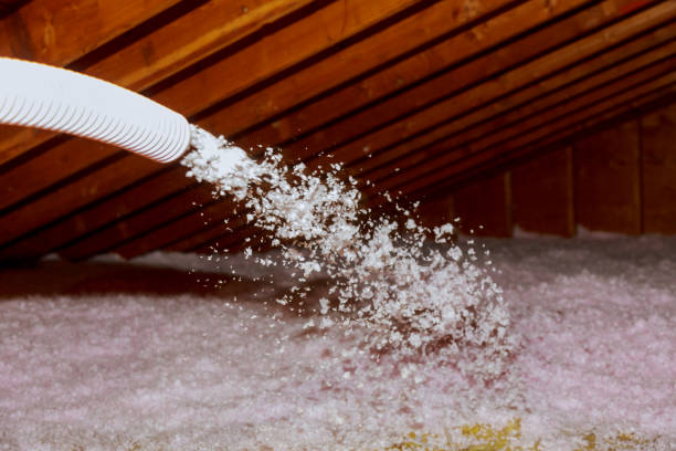 Best Insulation Contractors for Homes  in Homer City, PA