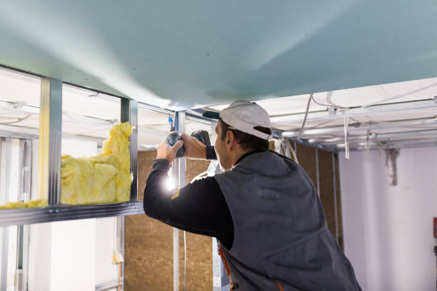 Best Home Insulation Services  in Homer City, PA